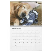 Tiberius 2020 Goldener Retriever Kalender (Feb 2027)