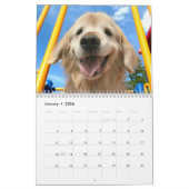 Tiberius 2020 Goldener Retriever Kalender (Jan 2026)