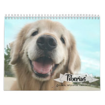Tiberius golden retriever 2019 AugieDoggy