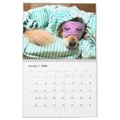 Tiberius golden retriever 2019 AugieDoggy Kalender (Jan 2026)