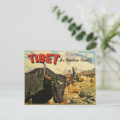 Tibet Adventure Awaits Ox Postkarte (Stehend Vorderseite)