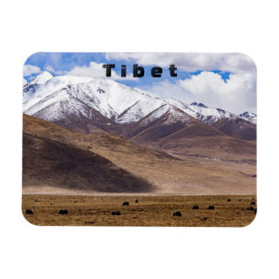 Tibet - Berglandschaft mit Yaks Magnet