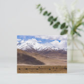 Tibet - Berglandschaft mit Yaks Postkarte (Stehend Vorderseite)