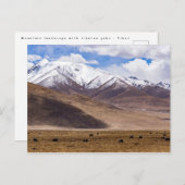 Tibet - Berglandschaft mit Yaks Postkarte (Vorne/Hinten)