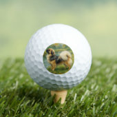 Tibet-Spaniel Golfball (Insitu T-Shirt)