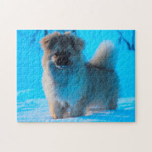 Tibet Spaniel Hunde Puzzles