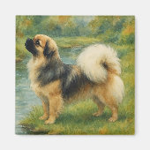 Tibet-Spaniel Magnet (Vorne)