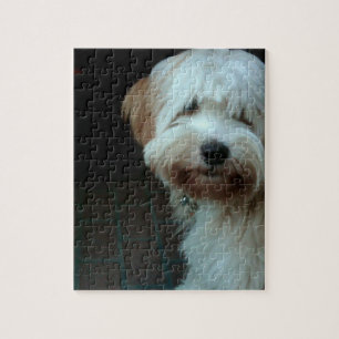 Tibet-Terrier 2 Puzzle