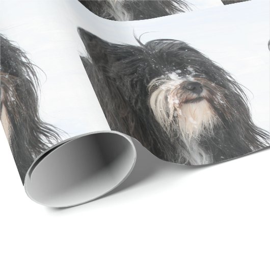 Tibet_Terrier Geschenkpapier (Rolleneckpunkt)
