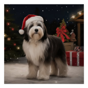 Tibet-Terrier-Hund im Schnee Weihnachten  Poster