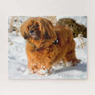 Tibet Terrier Hund Puzzle. Puzzle