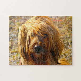Tibet Terrier Hund Puzzles. Puzzle