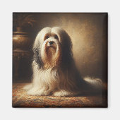 Tibet-Terrier Magnet (Vorne)