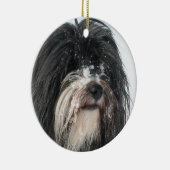 Tibet_Terrier.png Keramikornament (Rechts)