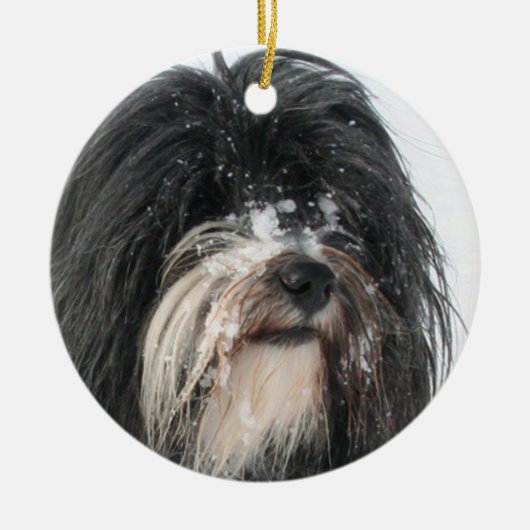 Tibet_Terrier.png Keramikornament (Vorne)