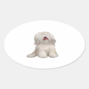 Tibet-Terrier (weiß) Ovaler Aufkleber