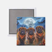 Tibetan Mastiff Halloween Spooky Magnet (Vorderseite/Rückseite)