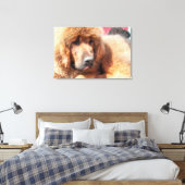 Tibetan Mastiff Leinwanddruck (Insitu (Schlafzimmer))