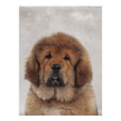 Tibetan Mastiff Poster (Vorderseite)