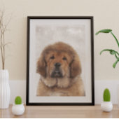 Tibetan Mastiff Poster