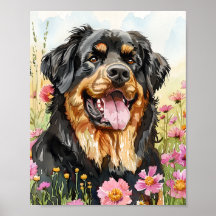 Tibetan Mastiff Poster - Majestic Dog Wall Art