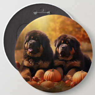 Tibetan-Mastiff-Welpe Herbstfreude Kürbis Button