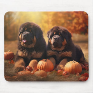 Tibetan-Mastiff-Welpe Herbstfreude Kürbis Mousepad