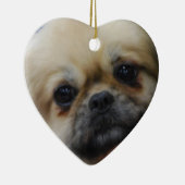 tibetan-spaniel-5.jpg keramikornament (Rechts)