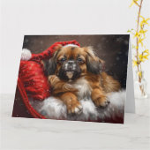 Tibetan Spaniel Dog Weihnachtsfest Karte (Gelbe Blume)