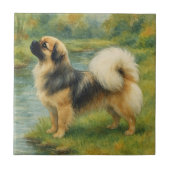 Tibetan Spaniel Fliese (Vorderseite)