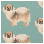 Tibetan Spanisch Fabric Stoff (Nahaufnahme)