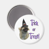 Tibetan Spanischer Trick Magnet (Vorderseite/Rückseite)