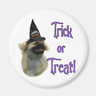 Tibetan Spanischer Trick Magnet