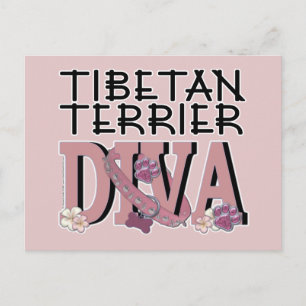 Tibetan Terrier DIVA Postkarte