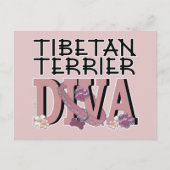 Tibetan Terrier DIVA Postkarte (Vorderseite)