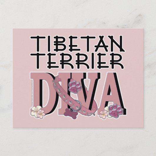Tibetan Terrier DIVA Postkarte (Vorderseite)