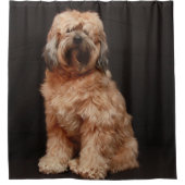 Tibetan Terrier Duschvorhang (Vorderseite)