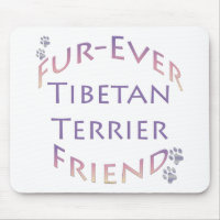 Tibetan Terrier Furever Friend