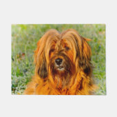 Tibetan Terrier Fußmatte (Vorderseite)