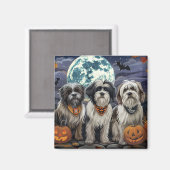 Tibetan Terrier Halloween Spooky Magnet (Vorderseite/Rückseite)