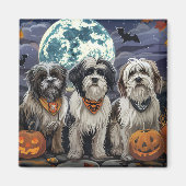 Tibetan Terrier Halloween Spooky Magnet (Vorne)