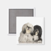 Tibetan Terrier Magnet (Vorderseite/Rückseite)