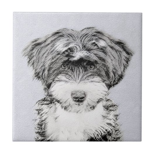 Tibetan Terrier Painting - Niedliche Original Dog  Fliese (Vorderseite)