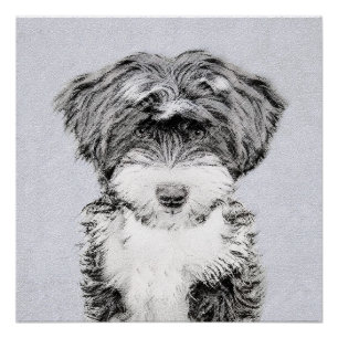 Tibetan Terrier Painting - Niedliche Original Dog  Poster
