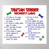 TIBETAN TERRIER PL2 POSTER (Vorne)