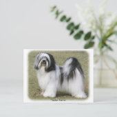 Tibetan Terrier Postkarte (Stehend Vorderseite)