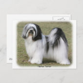 Tibetan Terrier Postkarte (Vorne/Hinten)