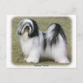 Tibetan Terrier Postkarte (Vorderseite)