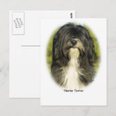 Tibetan Terrier Postkarte (Vorne/Hinten)