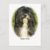 Tibetan Terrier Postkarte (Vorderseite)
